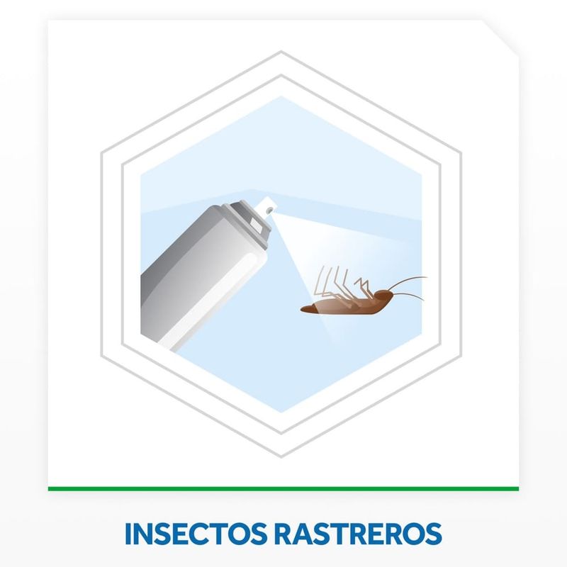 Insecticida-Raid-Mata-Cucarachas-360ml-5-941467