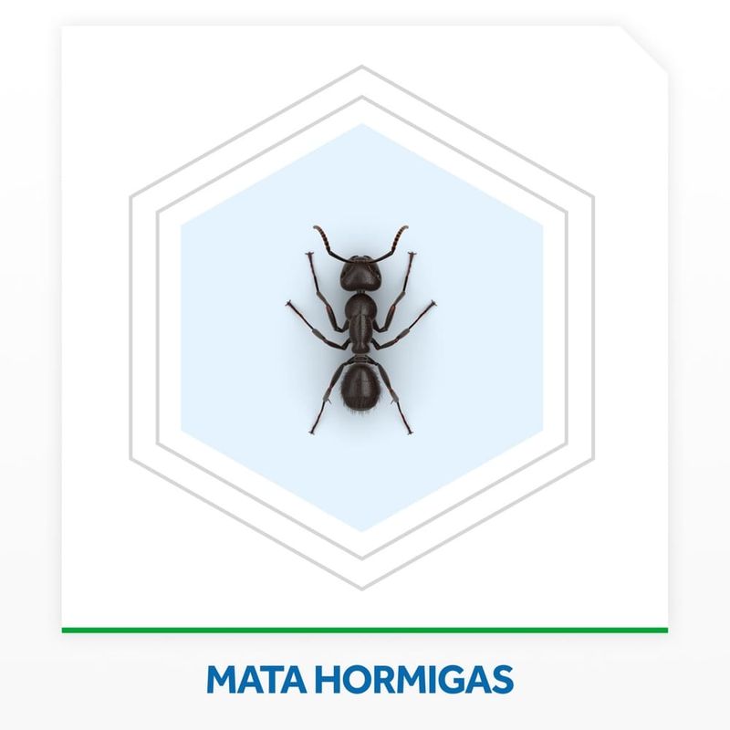 Insecticida-Raid-Hormiga-360ml-4-890355
