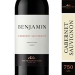 Vino-Benjamin-Cabernet-Sauvignon-750cc-1-971955