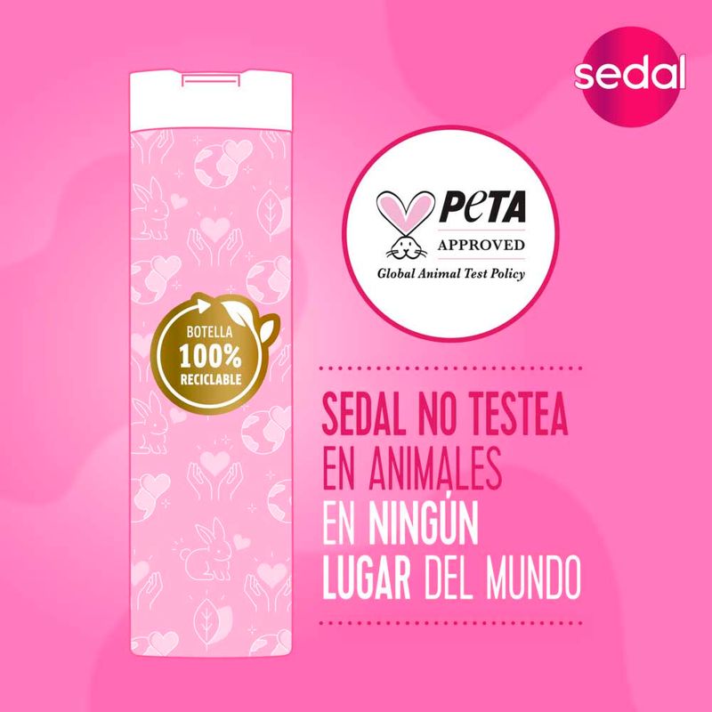 Acondicionador-Sedal-Ceramidas-340ml-5-971732