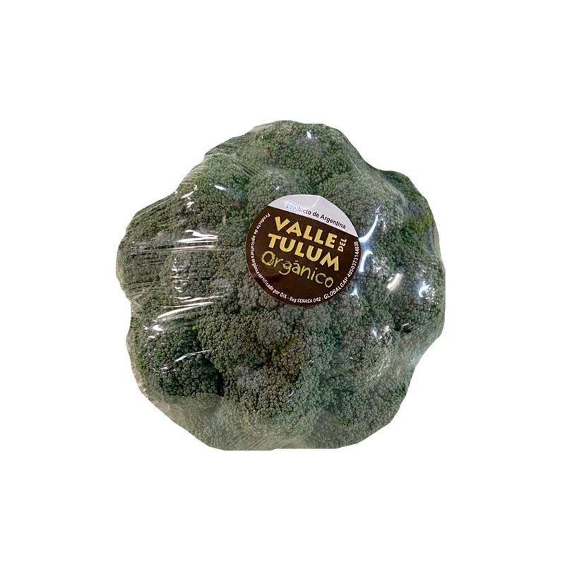 Br-coli-1-U-1-8474