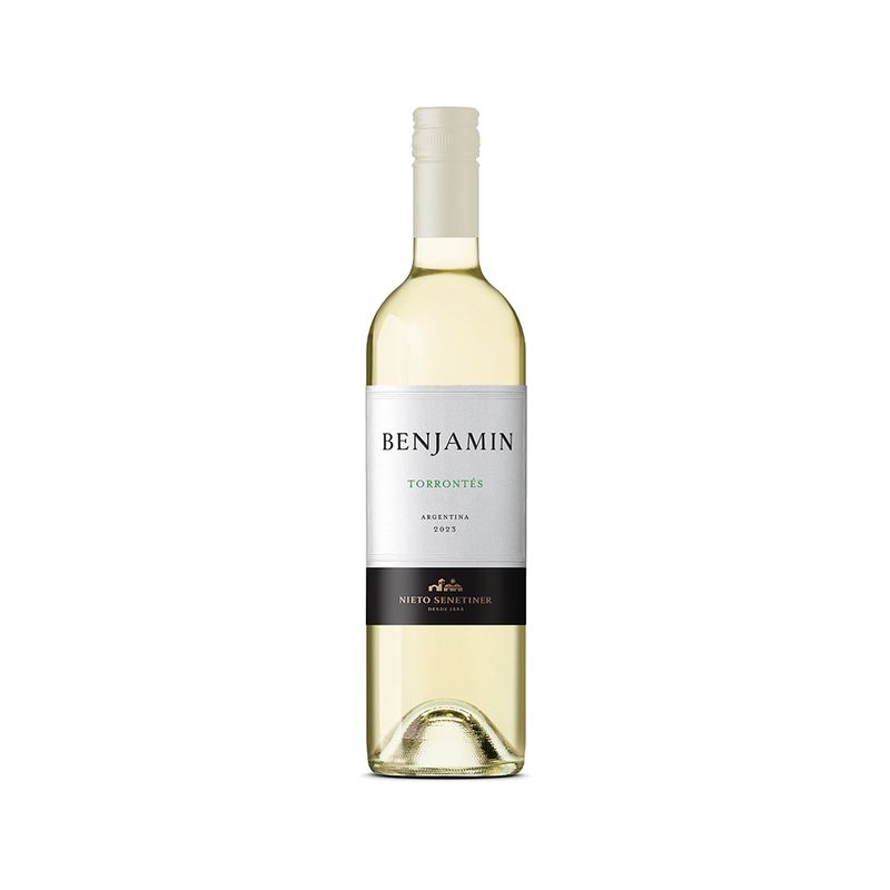 Vino-Benjamin-Torront-s-750ml-1-974627