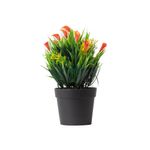 Planta-Campanilla-Rojo-S-mx1-1-977352
