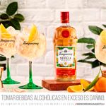 Gin-Tanqueray-Sevilla-700-Gin-Tanqueray-Flor-De-Sevilla-Botella-700ml-3-856976