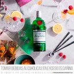 Gin-Tanqueray-Dry-700-Ml-4-875755
