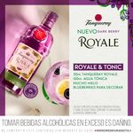 Gin-Tanqueray-Royale-700ml-2-892672
