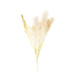 Flor-De-Tallo-Mediano-D43-1-884088