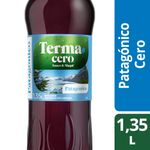 Terma-Patagonico-S-azuc-Pet-12-X-1-35-Terma-Patagonico-Sin-Azucar-1-L-1-858282