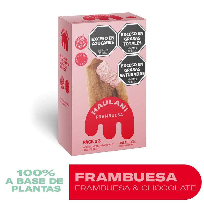 Paleta-De-Franbuesa-Ba-ada-Haulani-300g-Paleta-Haulani-Frambuesa-Ba-ada-300g-1-974411
