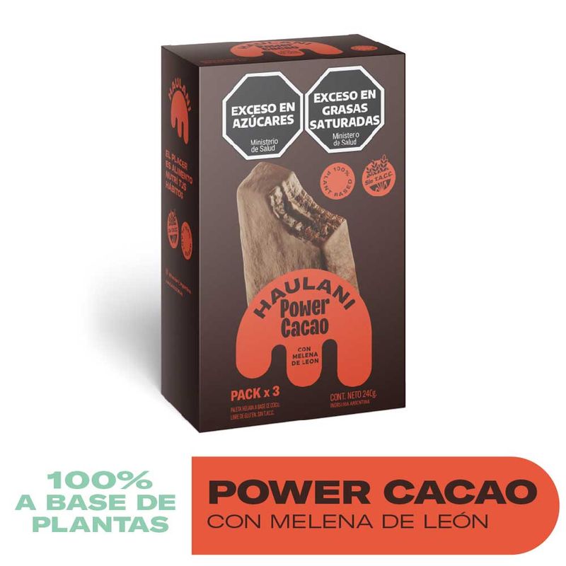 Paleta-Power-Cacao-Haulani-300g-Paleta-Haulani-Power-Cacao-300g-1-974418