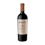 Vino-Putruele-Reserva-Cabernet-Sauvignon-Selected-750-Vino-Putruele-Reserva-Cabernet-Sauvignon-Selec-1-995797