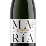 Champagne-Maria-Codorniu-Extra-Brut-1-995103