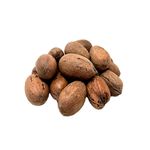 Nuez-Pecan-X-Kilo-1-61463