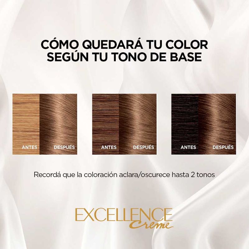 Coloracion-Excellence-Tono-6-1-6-971667
