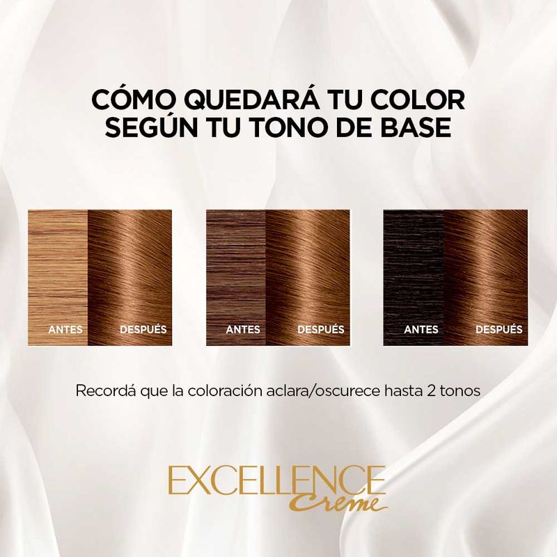 Coloracion-Excellence-Tono-6-3-6-971665