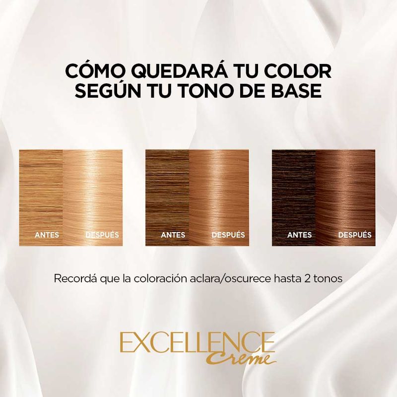 Coloracion-Excellence-Tono-9-3-6-971698