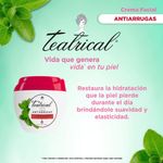 Crema-Facial-Teatrical-Antiarrugas-200g-3-997787