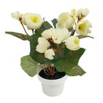 Flor-Mini-En-Maceta-Anastasia-Krea-1-944562