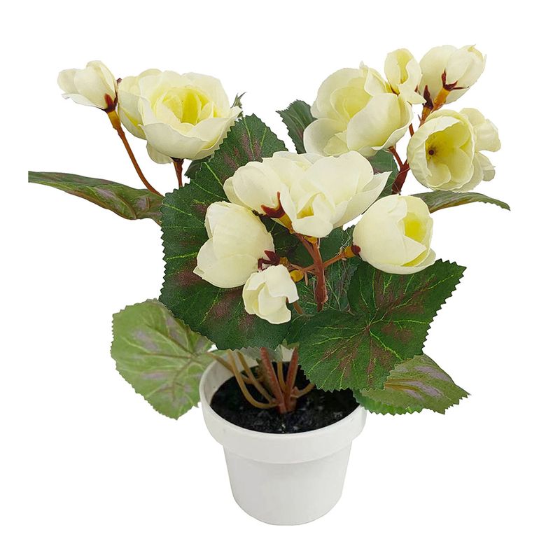 Flor-Mini-En-Maceta-Anastasia-Krea-1-944562