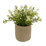 Planta-En-Rafia-Casa-Calma-Krea-1-944564