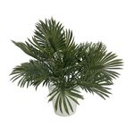 Planta-En-Maceta-Paraiso-Floral-Krea-1-944575