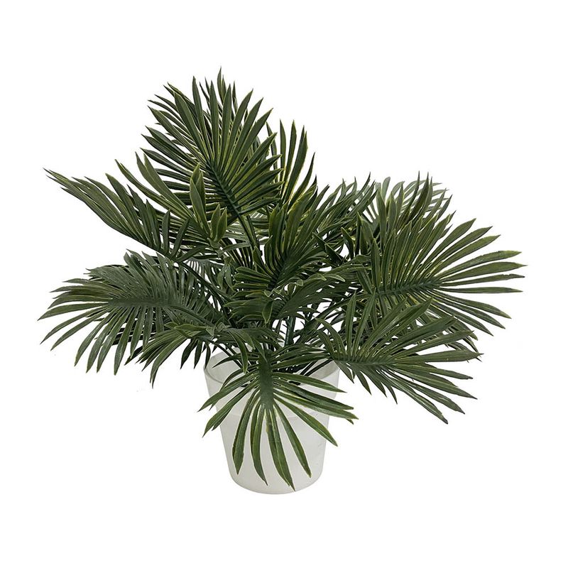 Planta-En-Maceta-Paraiso-Floral-Krea-1-944575