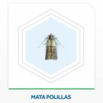 Insecticida-Raid-Antipolillas-Aero-360ml-Insecticida-Raid-Antipolillas-Aerosol-360ml-7-890357