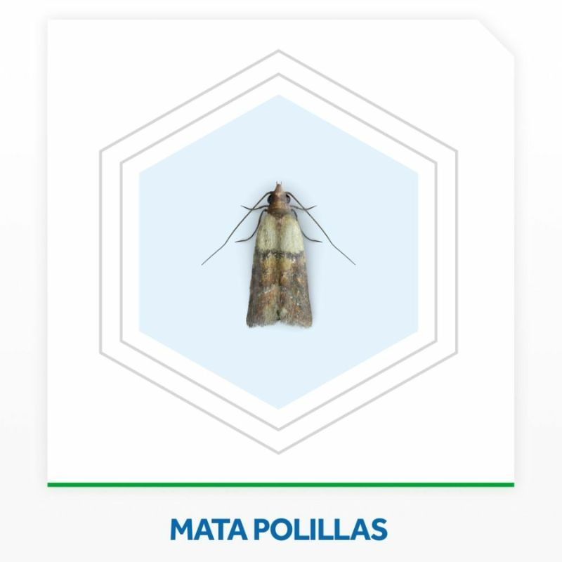 Insecticida-Raid-Antipolillas-Aero-360ml-Insecticida-Raid-Antipolillas-Aerosol-360ml-7-890357