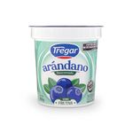 Yogur-Descremado-Con-Arandano-Tregar-160g-1-999548