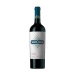 Vino-Santa-Julia-Reserva-Syrah-750cc-1-999184