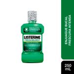 Enjuag-Bucal-Listerine-Freshburst250ml-1-999821