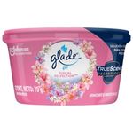 Aromatizante-Glade-Gel-Hogar-Floral-Perfection-70gr-2-35232