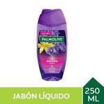 Jab-n-L-quido-Palmolive-Descanso-Floral-250ml-1-24507