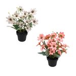 Flores-En-Maceta-2c-D2-Krea-1-944410