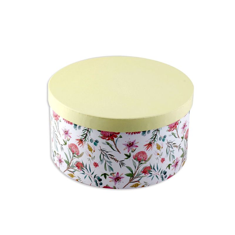 Caja-De-Carton-M-Anastasia-Krea-1-944622