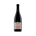 Vino-Rutini-Pinot-Noir-X-750-Cc-Vino-Rutini-Pinot-Noir-X-750-Cc-Bot-750-Cc-1-110432