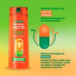 Shampoo-Cabellos-Danados-Goodbye-Danos-X350-Fructis-Garnier-2-971805