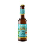 Cerveza-Patagonia-Lager-Coco-355cc-1-1005515