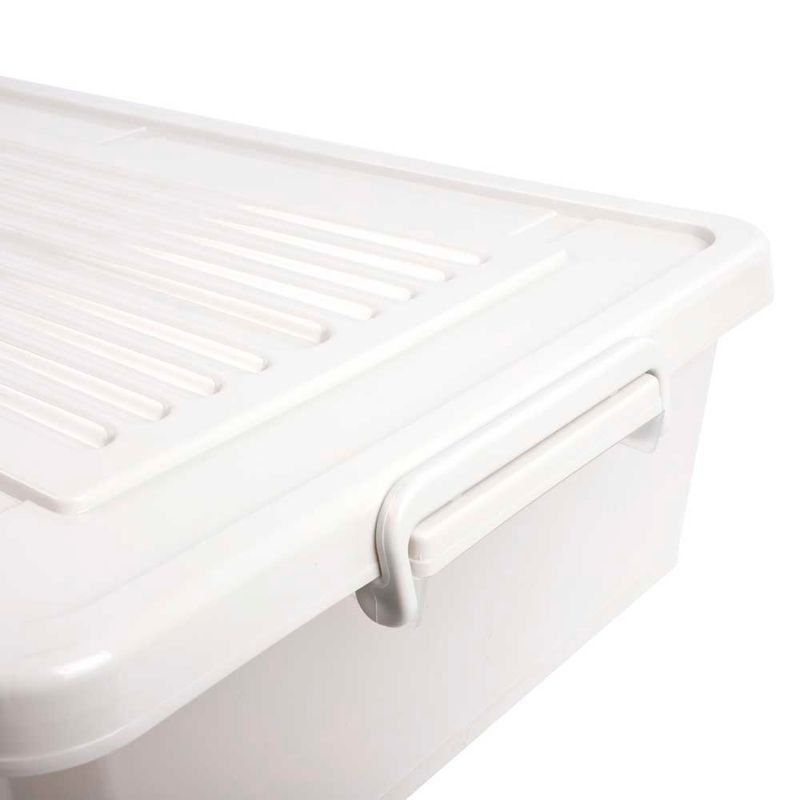 Caja-Organizadora-34l-Cama-Transparente-Tapa-Color-3-944149