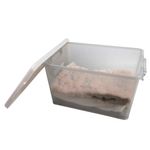 Caja-Organizadora-13l-Ruedas-Color-Transparente-5c-20-944129