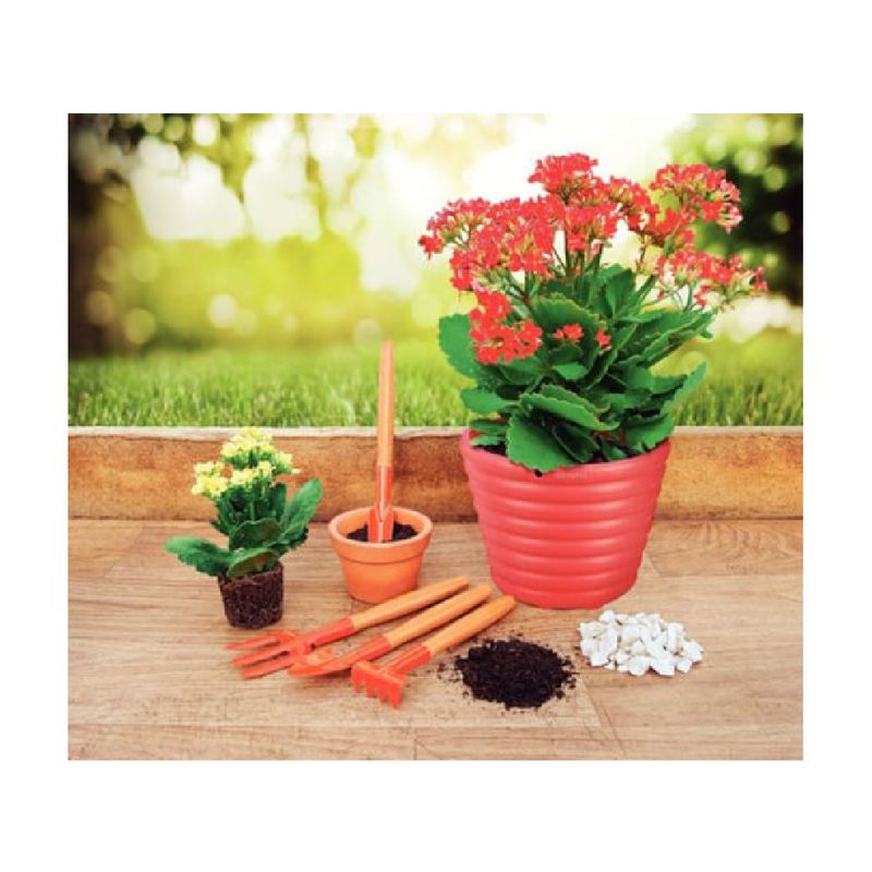 Set-Mini-Herramientas-Sd-Tramontina-Jardin-X-4-6-958721
