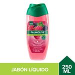 Jabon-Liquido-Palmolive-Naturals-Frambuesa-Y-Mora-250ml-1-957266
