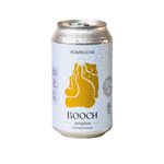 Kombucha-Booch-Jengibre-Burrito-1-1010325