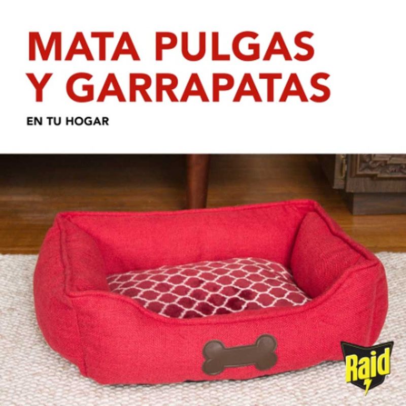 Insecticida-Raid-Mata-Pulgas-Y-Garrapatas-360m-4-998050