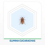 Cebos-Insecticida-Raid-Mata-Cucarachas-6un-3-998057