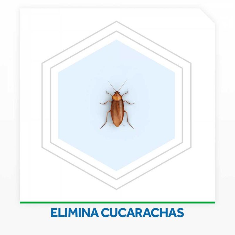 Cebos-Insecticida-Raid-Mata-Cucarachas-6un-3-998057