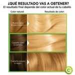 Kit-De-Coloracion-Nutrisse-Tono-90-Trigo-4-1001936