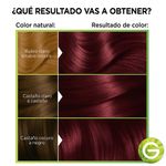 Kit-De-Coloracion-Nutrisse-Tono-46-Granada-4-1001953