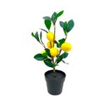 Limonero-Articial-Krea-1un-1-987559