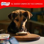 Queso-Clasico-Casancrem-290g-4-994803